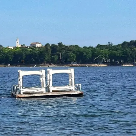 בית הארחה Complex Jelena 3*