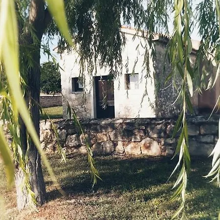 Complex Jelena בית הארחה 3*