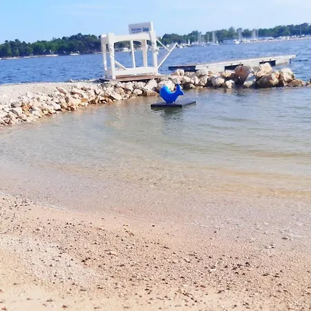 Complex Jelena בית הארחה 3*